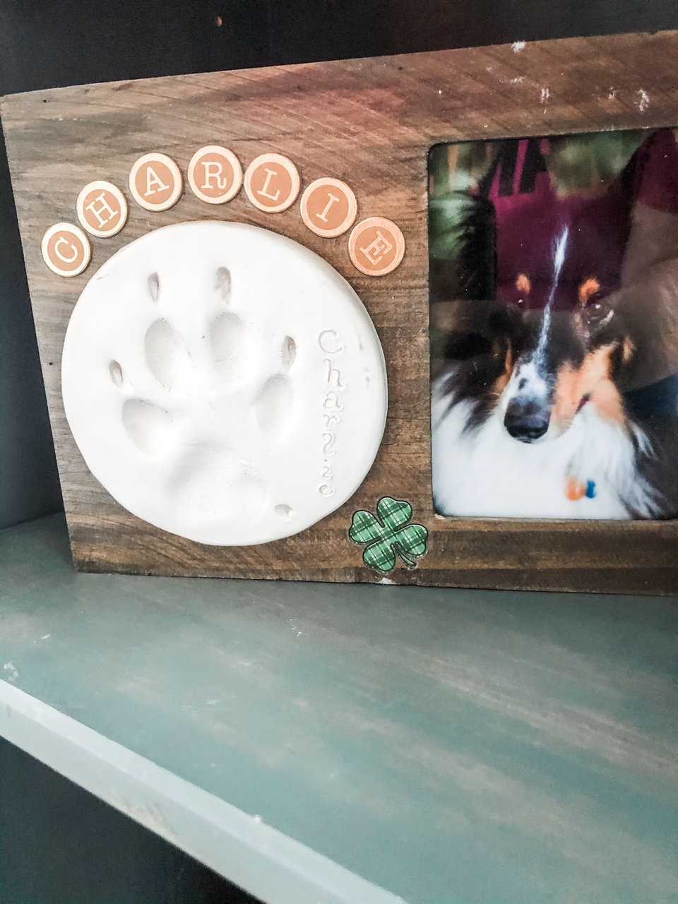 DIY Dog Memorial Frame with Pawprint - The Mommy Project Guru